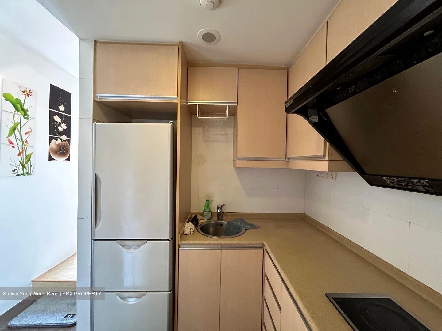 International Plaza (D2), Apartment #490551751